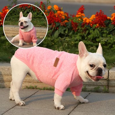 Pull chien - Confortable - Fun en chien
