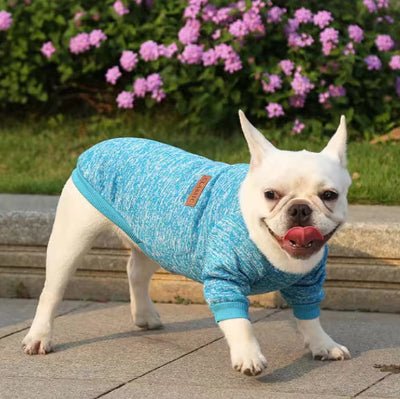 Pull chien - Confortable - Fun en chien