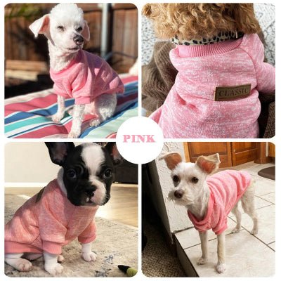Pull chien - Confortable - Fun en chien