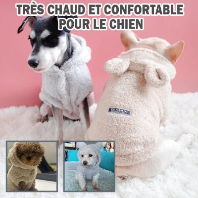 Pull chien - Ourson - Fun en chien