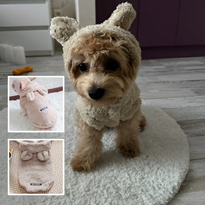 Pull chien - Ourson - Fun en chien