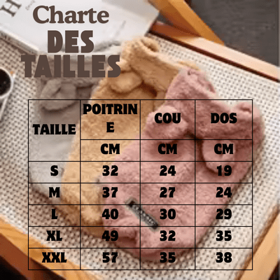 Pull chien - Ourson - Fun en chien