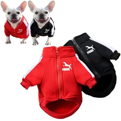 Pull chien - SportPaws™ - Fun en chien