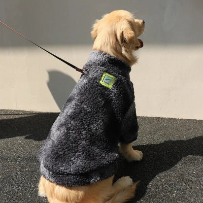 Pull pour chien - Laineux - Fun en chien