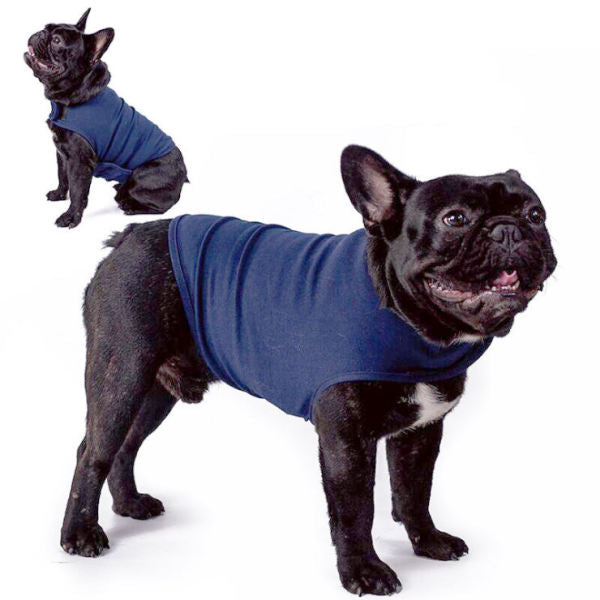 pull chien | Anxiété