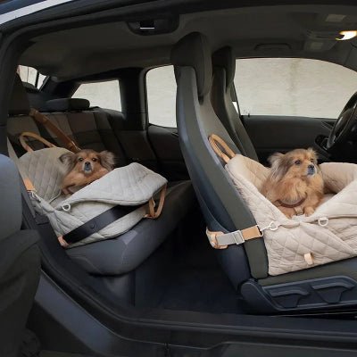 Sac de transport pour chien - Élégant - Fun en chien